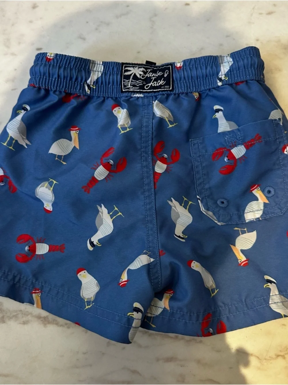 Janie And Jack Swimsuit Swim Trunks Swimming Size 12-18 Months